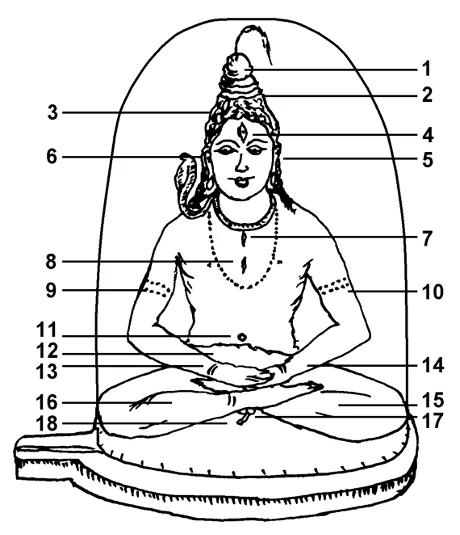 Krittivasheshvara lingam as Shiva’s body. Symbolically consisting of 18 Shiva lingams, that is how it shows Kashi as Shiva’s body: 1 Omkareshvara, 2 Shrutishvara, 3 Mahadeva, 4 Trilochaneshvara, 5 Bharabhuteshvara, 6 Gokarneshvara, 7 Vireshvara, 8 Chandreshvara, 9 Avimukteshvara, 10 Dharmeshvara, 11 Madhyameshvara, 12 Jyestheshvara, 13 Vishveshvara, 14 Manikarnikeshvara, 15 Karpadishvara, 16 Kaleshvara, 17 Kedareshvara, 18 Shukreshvara; (as in the KKh, 33.167 172) (after and @ the authors).